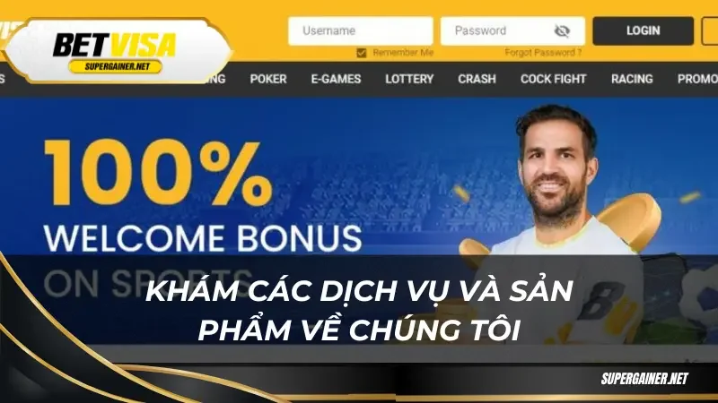Về chúng tôi Khám phá các dịch vụ và sản phẩm về chúng tôi