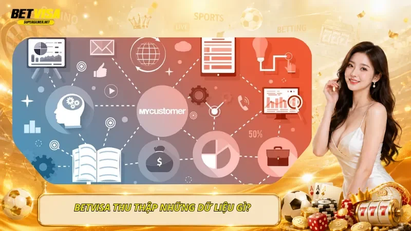 BetVisa Thu Thập Những Dữ Liệu Gì?