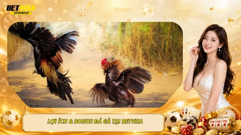 Lợi Ích & Bonus Đá Gà Tại BetVisa