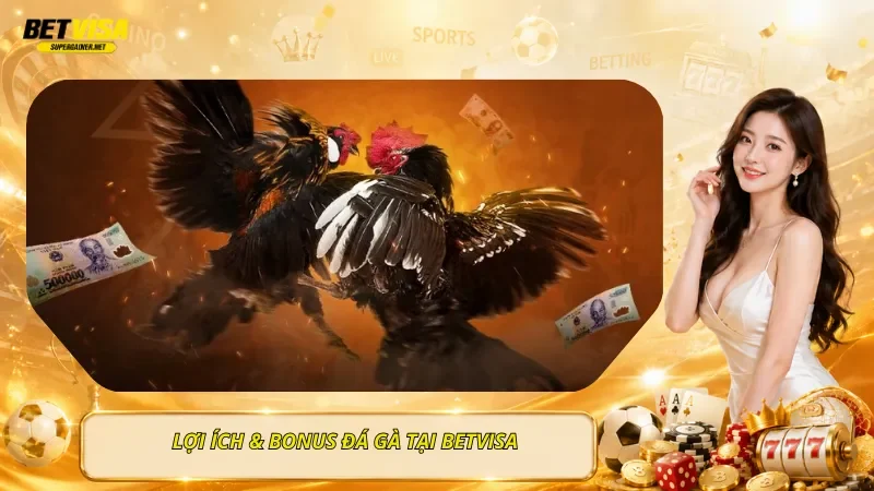Lợi Ích & Bonus Đá Gà Tại BetVisa