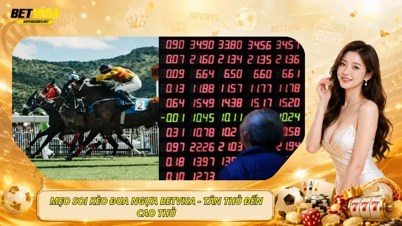 Mẹo Soi Kèo Đua Ngựa BetVisa - Tân Thủ Đến Cao Thủ
