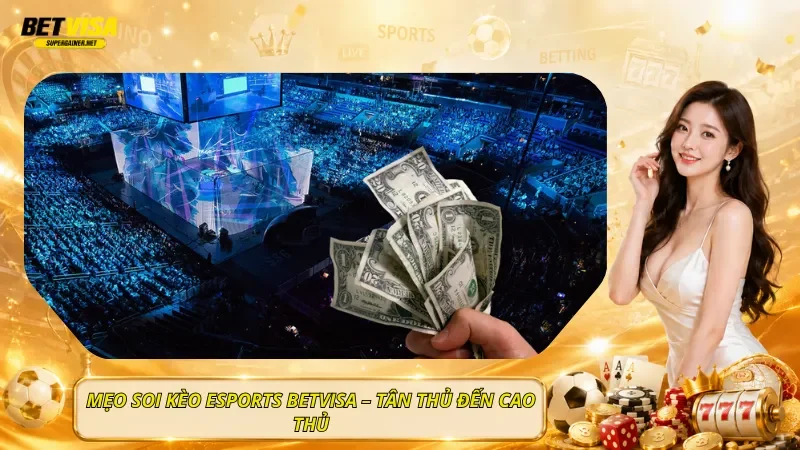 Mẹo Soi Kèo Esports BetVisa – Tân Thủ Đến Cao Thủ